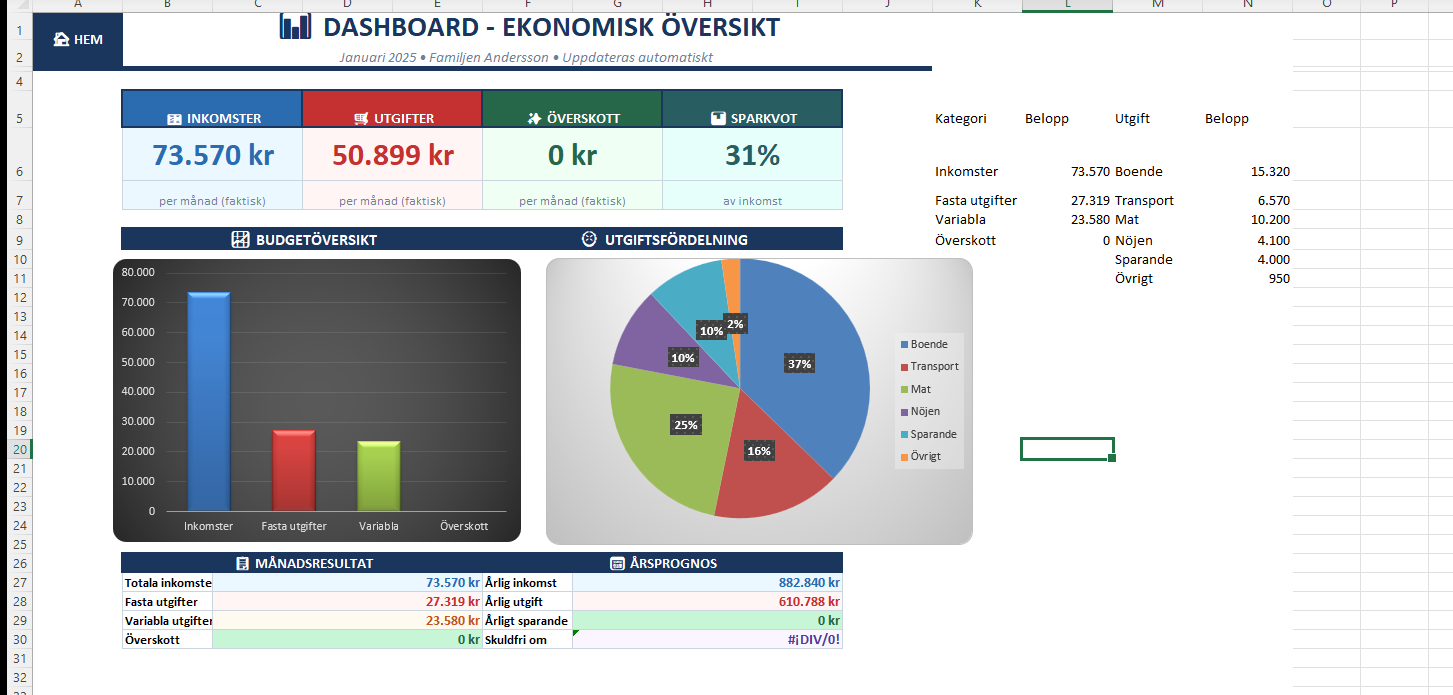 Budgetmall Excel dashboard